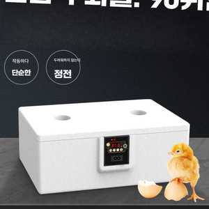 비？c 곰부화기 부화기 인큐베이터 키우기 가정용 부화