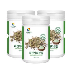 MK 뉴트로웨이 차전자피분말3통(300g)