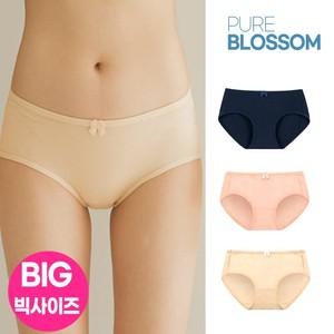 스벅 쿠폰 증정  빅사이즈 저자극 에코 코튼 면 스판 팬티