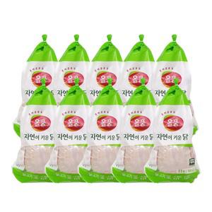올품 국내산 냉장 무항생제 육계 통닭 11호 X 10수 백숙용 생닭 업소용 대용량