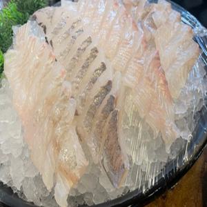 당일작업 숙성광어 필렛 국산 자연산 대광어회 생물 2-4kg