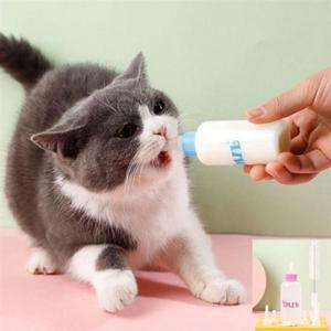 동물 애완 캐주얼 젖병 세트 강아지 고양이 반려 60ml 접병세트