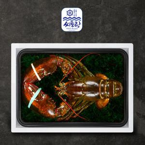[씨토랑]프리미엄 점보 활랍스터세트 1미 2.0kg/마리당 1.8-2.2kg