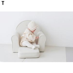 스투키 선인장소파
