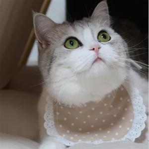 소복 도트 고양이 강아지케이프 (핑크) 강아지올인원