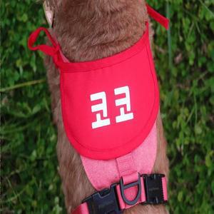 네임택 케이프 스카프 고양이옷