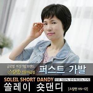 스칼렛정품 HN-12 반수제 전체가발 인모100% 모노스킨