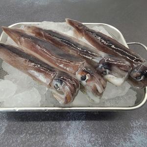 원양 선동 급냉 오징어 1kg 통 오징어 찜 숙회 통찜