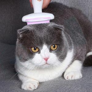 [OFM815P7]티티펫 고양이 다용도 털관리 브러쉬 핑크