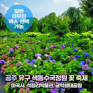[충남] 공주 유구 색동수국정원 꽃축제+마곡사+석장리+금학생태공원 당일여행 (일반/리무진) / 서울경기出