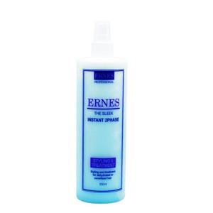 [XBFIM0L4]SP BTM 에르네스 인스턴트 투페이스 대500ml