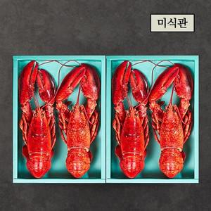 특선 자숙 랍스터 선물세트 4미 1.8-2.0KG(캐나다)