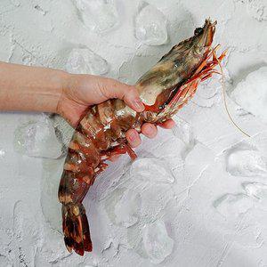 [자연맛남][물맛남] 자연산 킹타이거새우 1kg 4미 특대
