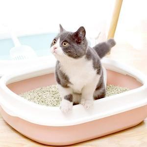 [BZJL8RZ5_4C]고양이 스타일 화장실 대형 핑크 분리