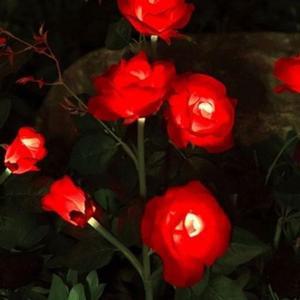 [BZJLQP6W_51AJ]장미 LED 태양광 꽃정원등(레드) GWM