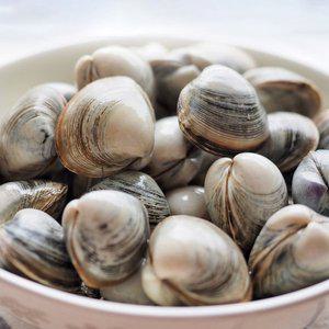 [인정식탁][남해바다] 싱싱한 동죽 조개 1kg