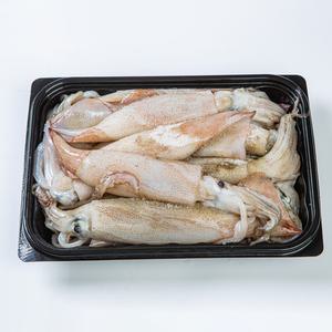 원양산 급냉오징어 2KG(40미내외) 급냉 동결 총알 통오징어