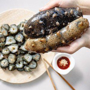 [기타][오늘의바다] 해삼 300g