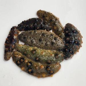 통영 자연산해삼 통영자연산해삼1kg(사이즈랜덤)