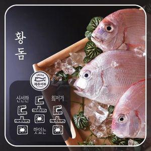 제주황돔 200g x 5마리 (총1kg이상)