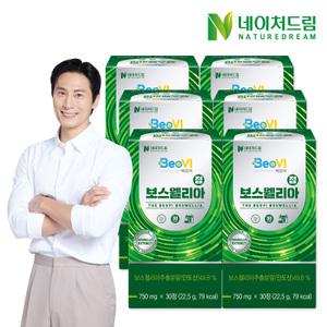 [소비기한:26.01.01][네이처드림] 베오비 보스웰리아정 750mg 30정 6박스