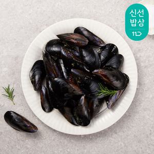 [품질보장] 자연산 통영 제철 다듬피홍합 3kg 여수 손질 세척