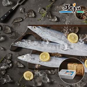 제주 갈치 선물세트 1.2kg(4마리)