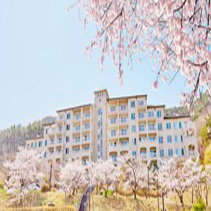 [경북] 경주 마우나오션리조트(경북, 경주)