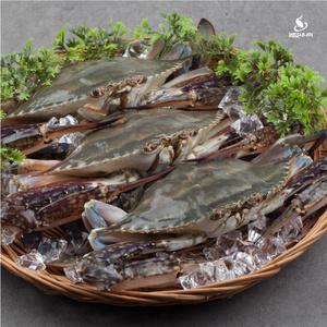 2025년 제철 국내산 자연산 활 꽃게 1kg 당일조업 조업발송 빙장포장 (kg당 4-6미내외)