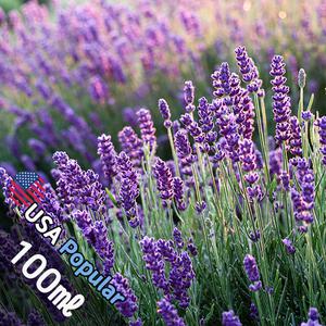 E010 라벤더 100ml (Lavender) 프래그런스오일 캔들 디퓨저 향수