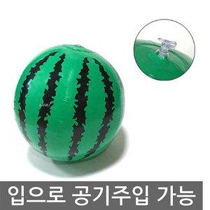 [기타]비치볼 수박공 입으로 공기주입 해변 탱탱볼 물놀이 튜브