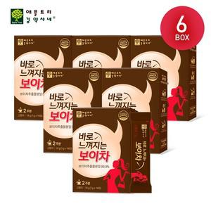 [12주분/6박스] 애플트리 김약사네 바로 느껴지는 보이차 14g(1g X 14포) X 6박스