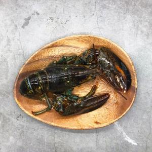 캐나다산 연안 활 랍스타 500g 1마리 바닷가재 (푸드)