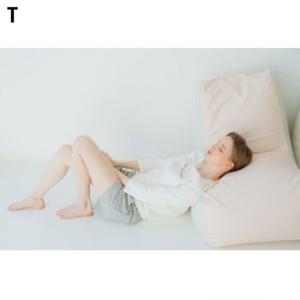 스투키 빅망고빈백