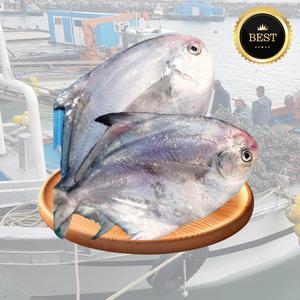 당일조업 국내산 목포 제철 손질 덕자 병어 횟감 구이용 제수용 병치 생물 1kg