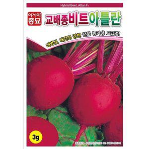 아시아종묘 씨앗 비트 아틀란 5000립