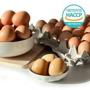 [명가일품]HACCP인증 저온숙성 국내산 구운계란(대란) 30구
