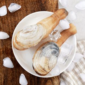 [바로푸드]남해안 자연산 대왕조개 코끼리조개 1kg (1~5미 내외) 당일채취 제철 산지직송
