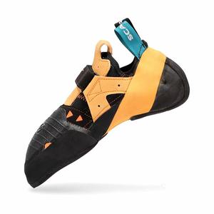 점내 최안 전품 우송 스컬파 SCARPA 클라이밍 신발 TINCT VS 인스팅트 볼더링 락 등산 LUCIDA