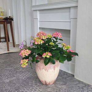 [오너클랜]고품질 빈티지 프로방스 스텐다드 롱팟 (대) 19x36cm 개업축하화분 관엽식물 도자기화분