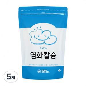 소다스쿨 염화칼슘 제습제 리필 1kg, 5개 one option