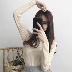 여성 브이넥 골지 긴팔 티셔츠 니트티 슬림핏 이너티