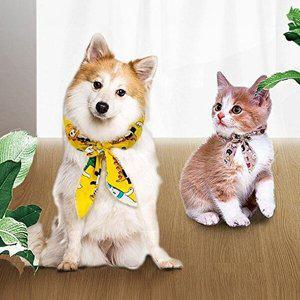 [셀러허브 패션][JHQQRQ64_4B]강아지 고양이 아이스 쿨 스카프 색상랜덤