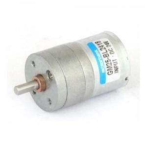 [KGPP718R_4B]GM25-BL2418 DC24V (감속비1/171) (M1000014
