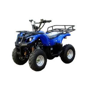 사륜오토바이 125cc ATV 비치 팜트럭 농업용 버기카 오토바이