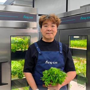 건담농수산 새싹인삼 1년근 대 50뿌리 어린삼 수경인삼 새싹삼