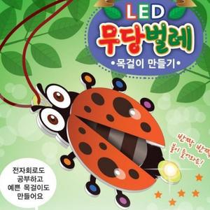 [XBG7744O_47]LED 곤충목걸이 만들기 무당벌레 과학 과학교구