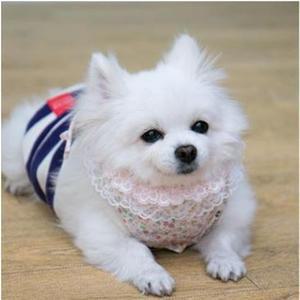 애견 강아지 목받침 플라워 스카프 패션 식사 턱받이 스트릿패션