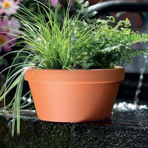 [KGPQ87T5_4B]독일산 분재화분 클래식 황토색 D18x9.5cm