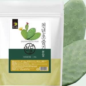 천년초줄기 분말 500g 분말 건강보조식품 건강즙 야채즙 음료